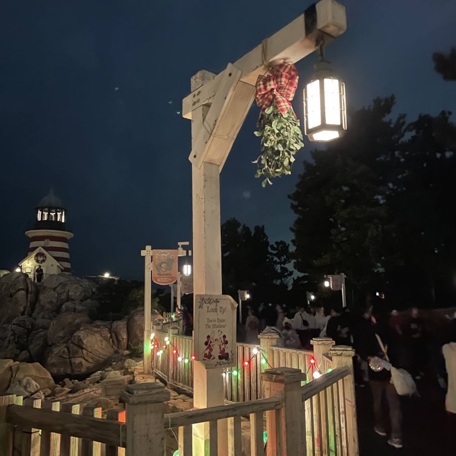 ヤドリギも登場♪