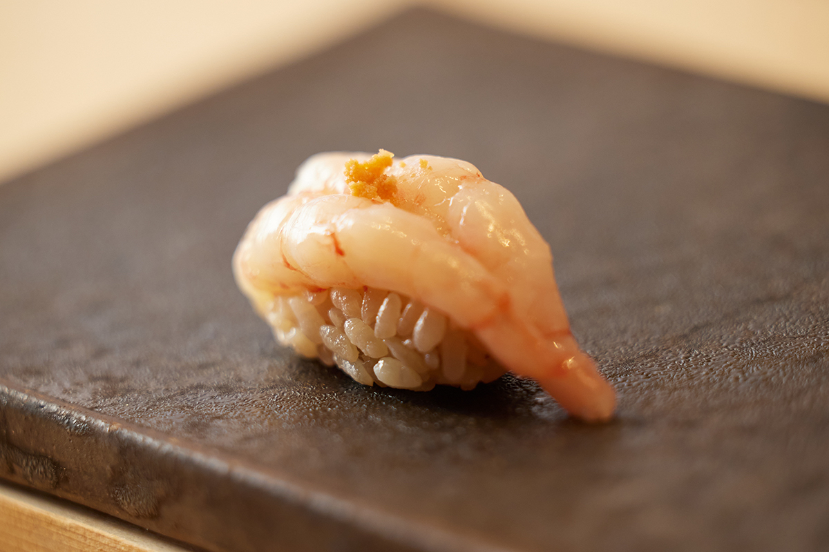 国産の天然本マグロの中トロ