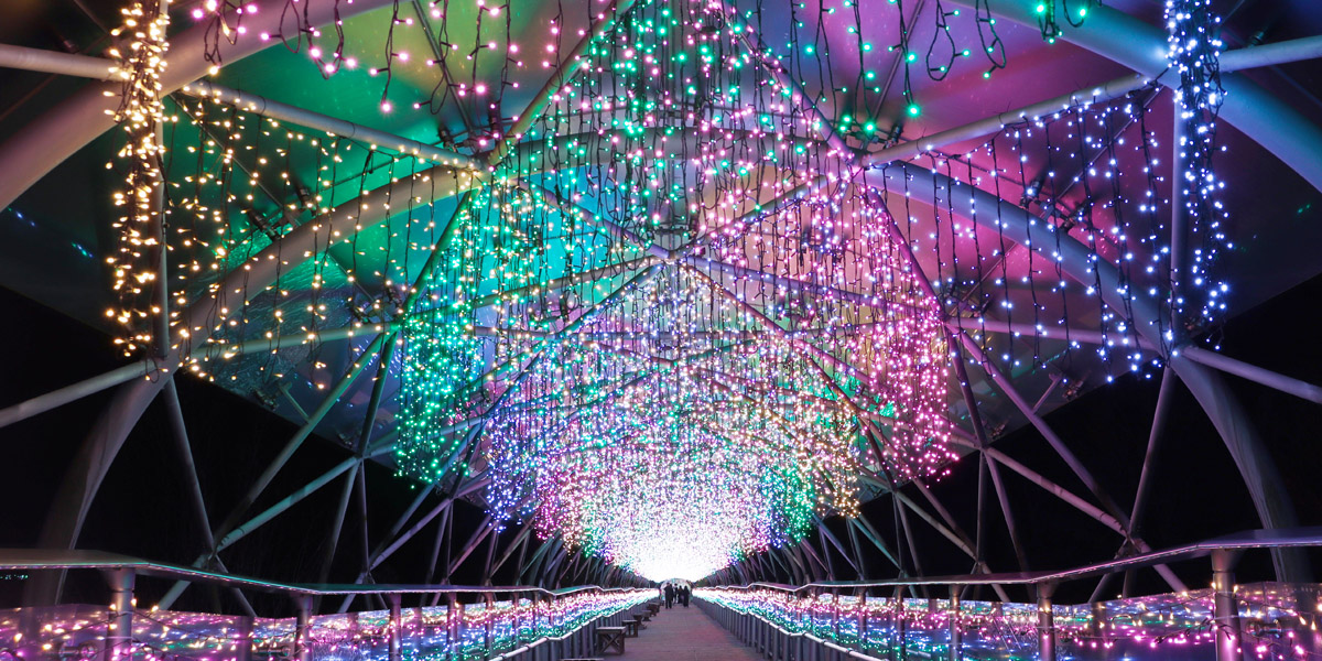 鳥取県のおすすめイルミネーション（2025-2026）クリスマスや冬デートに！