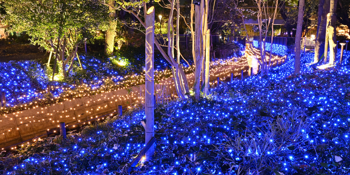 岡山県のおすすめイルミネーション（2025-2026）クリスマスや冬デートに！