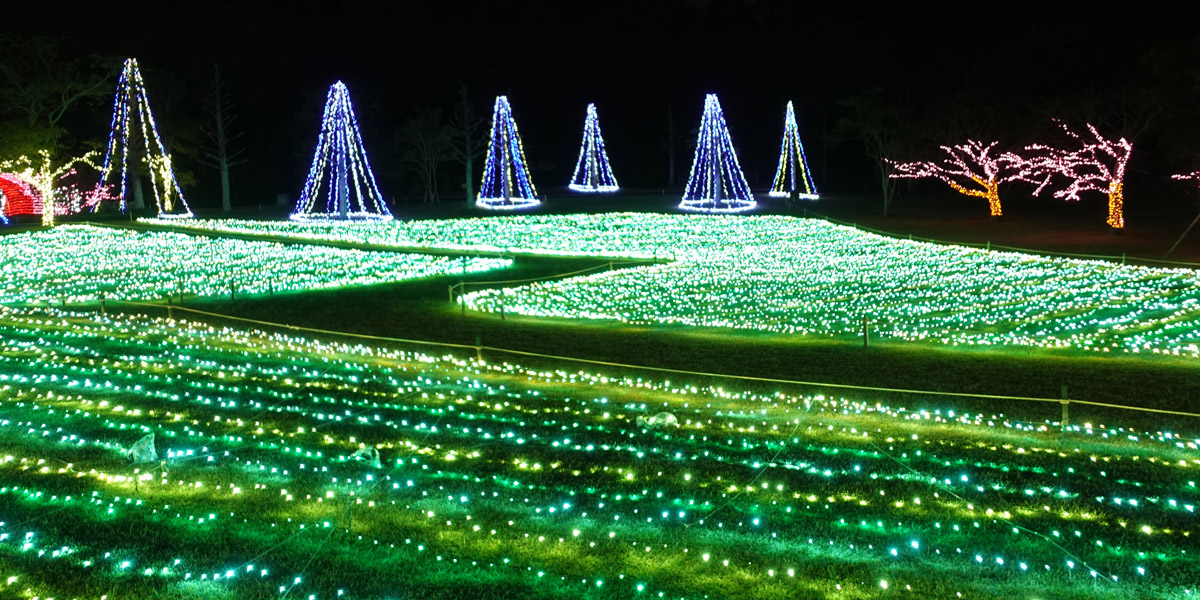 鹿児島県のおすすめイルミネーション（2025-2026）クリスマスや冬デートに！