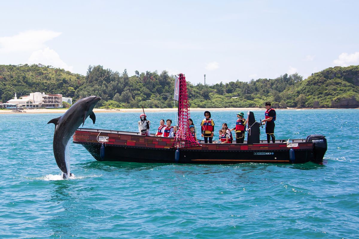 小型船で沖合まで移動してイルカのパフォーマンスが見学できる、ドルフィンオーシャンジャンプ。1人4,000円