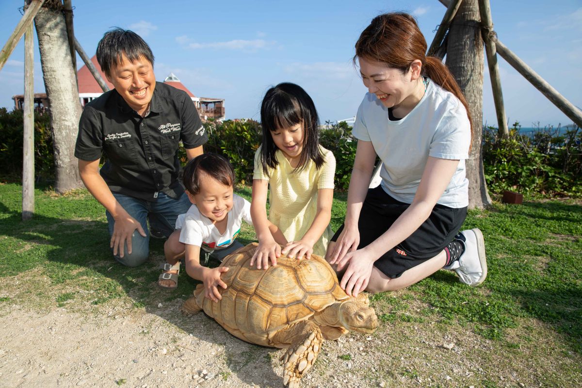 ケヅメリクガメの世話をしながら環境について考えるリクガメの飼育体験1組（1～5名）1万2000円