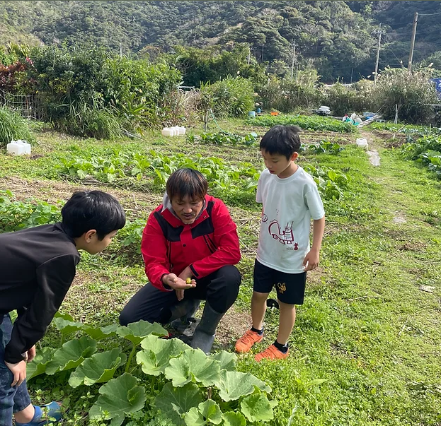 完全無農薬・微生物で発酵させた肥料を使って育てる