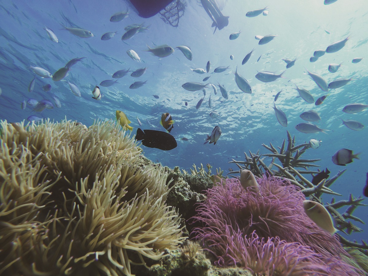 瀬戸内町育ちの船長は、あらゆるポイントを知り尽くしているそう