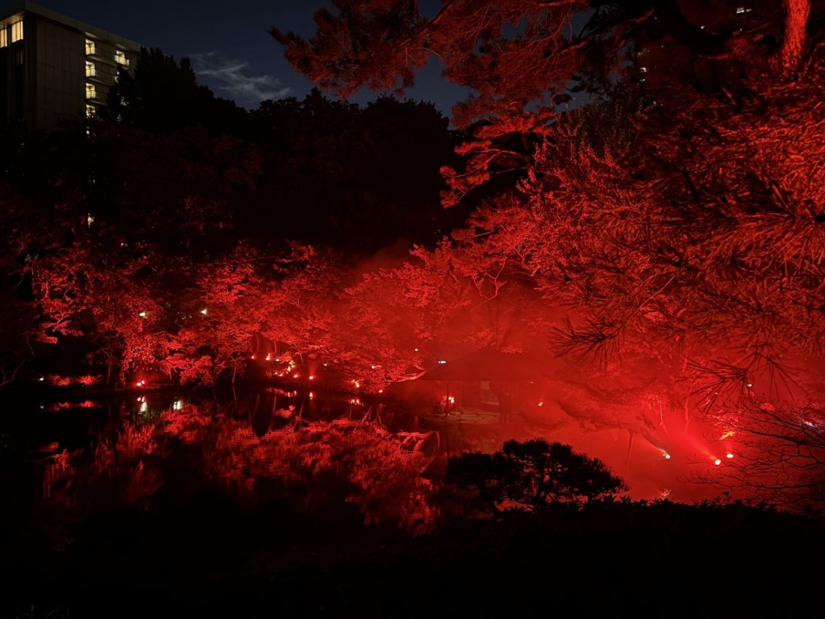 【紅葉ライトアップ】八芳園の日本庭園が今年も真っ赤に染まる!ディナーやアフタヌーンティーも楽しめる「TOKYO RED GARDEN 2024」開催中