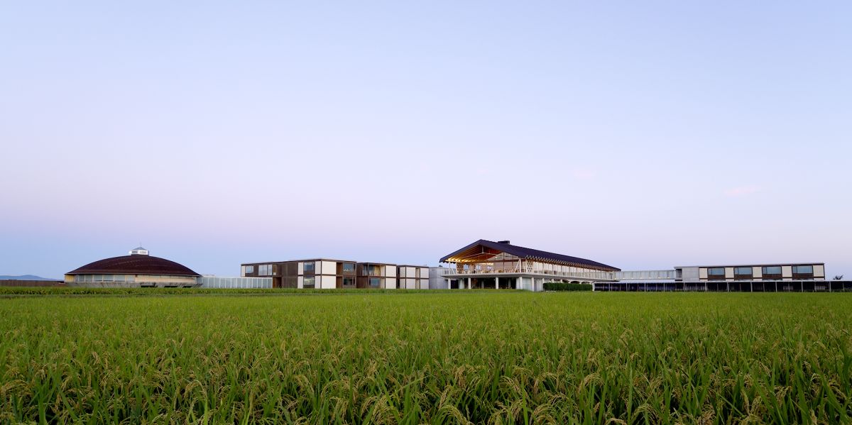 田んぼに浮かぶホテル「スイデンテラス」で源泉かけ流し温泉に癒やされる｜山形県・鶴岡