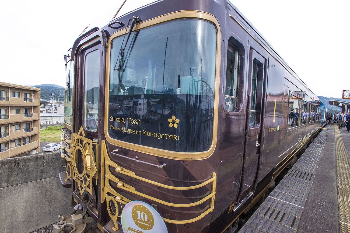 志国土佐時代の夜明け物語り　雄飛の抄