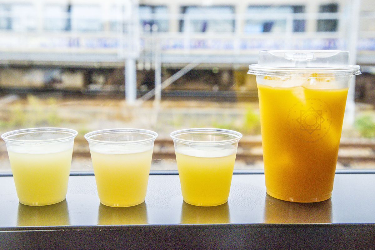 志国土佐時代の夜明け物語り　雄飛の抄