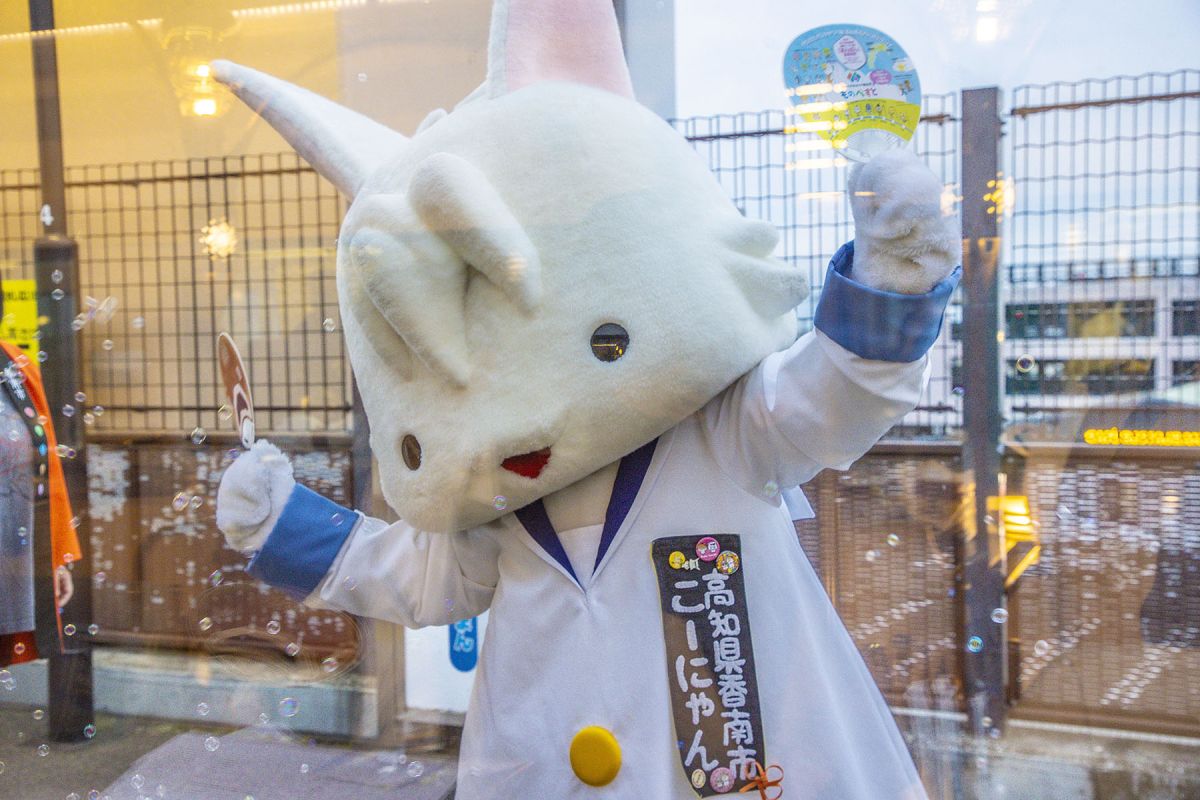 志国土佐時代の夜明け物語り　雄飛の抄