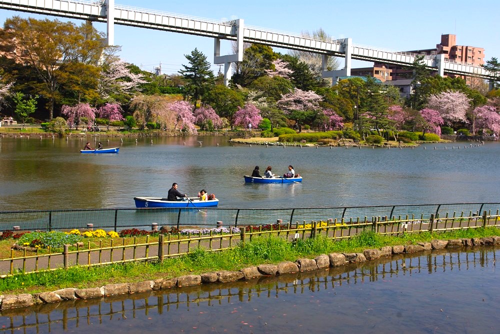 綿内池ではボート遊びを楽しめる