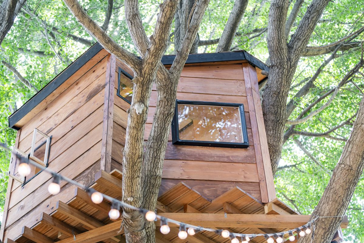 ツリーハウス内は自由に入ることもできる（飲食は不可）