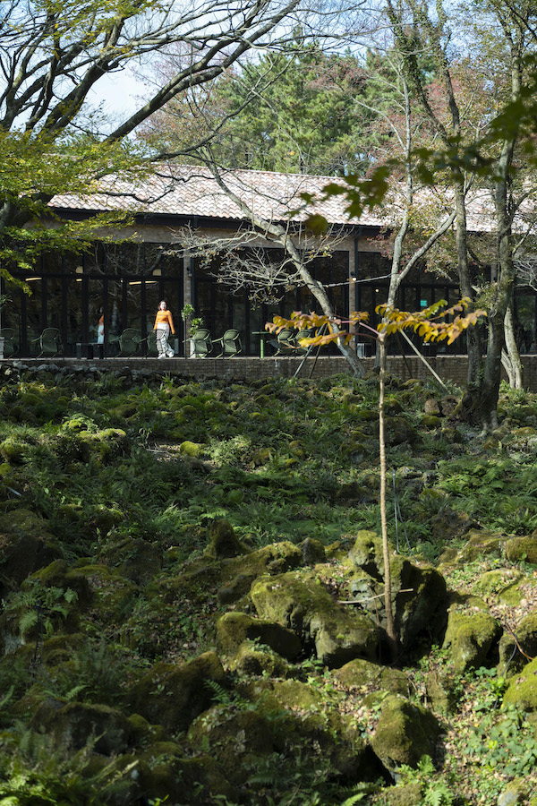 イキスプソギルの苔の庭
