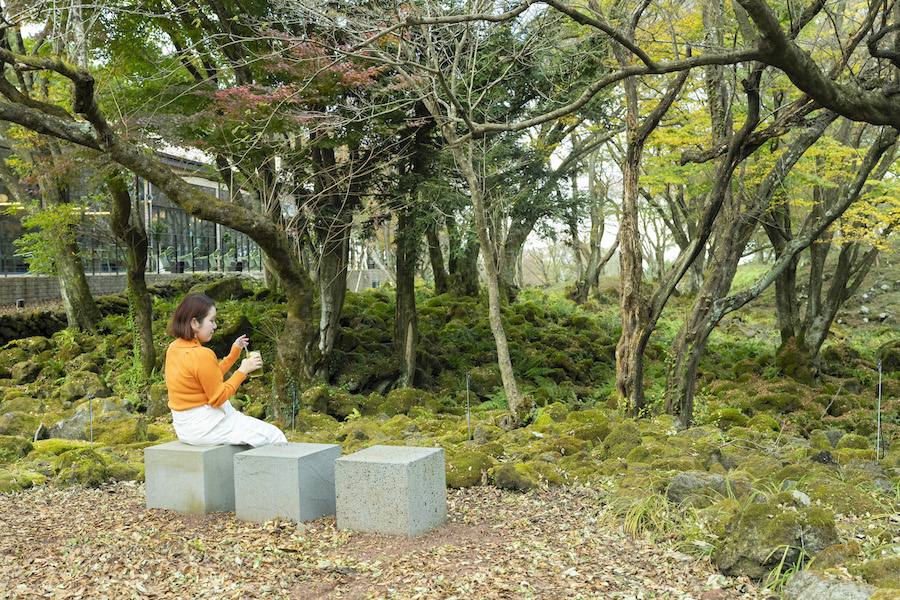 イキスプソギルの苔の庭