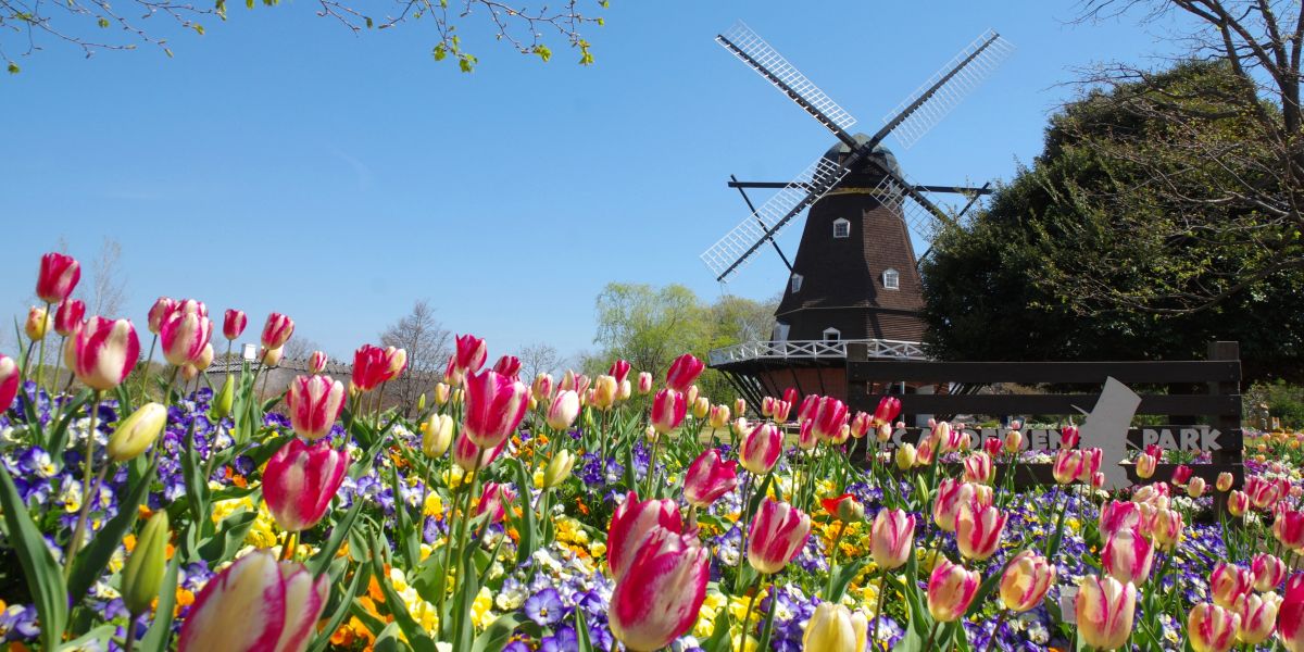 【千葉・船橋市】1年中楽しめる！ ふなばしアンデルセン公園の楽しみ方をご紹介