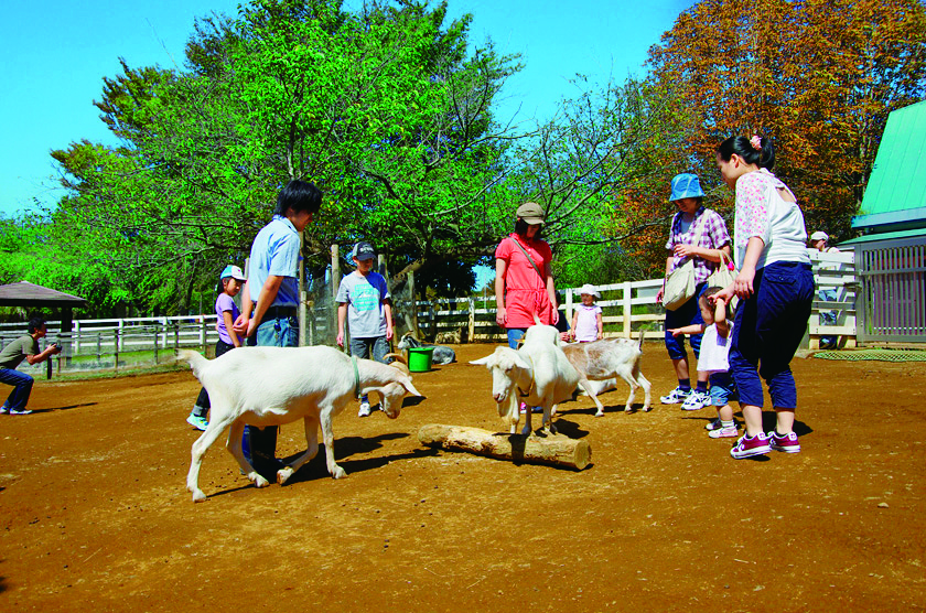 どうぶつふれあい広場