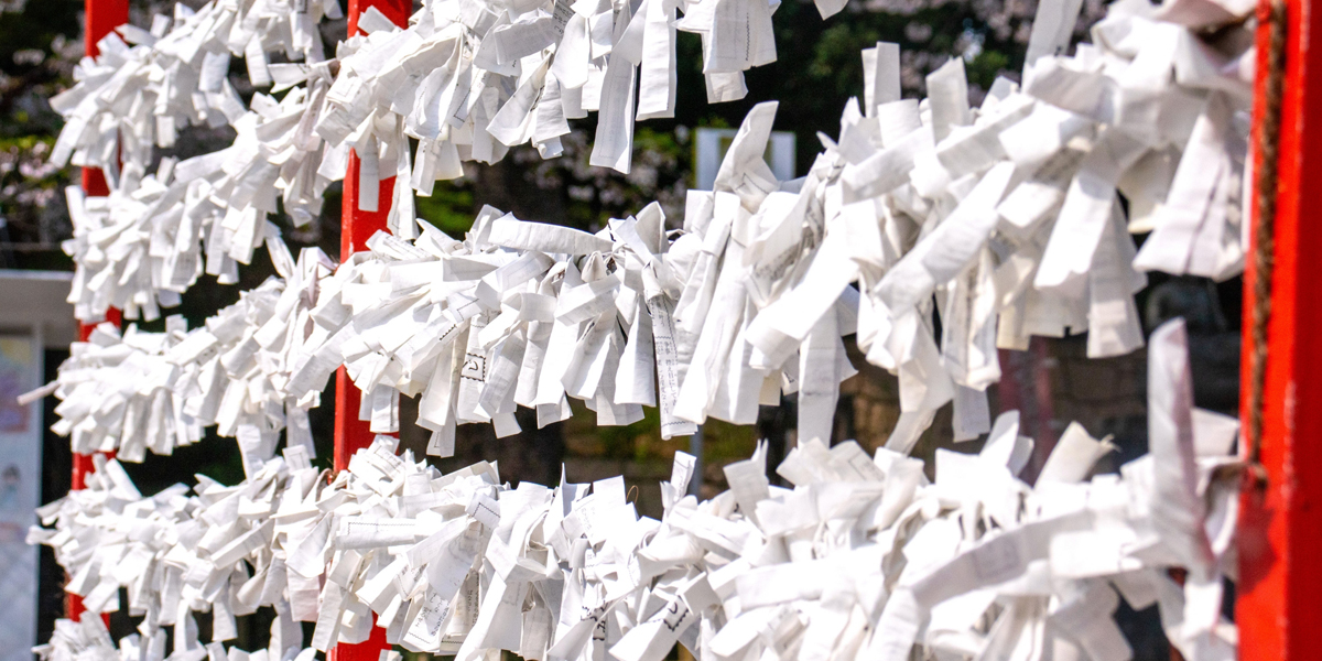 京都のおすすめ初詣スポットをエリアごとにチェック！2026年はどこに行く？