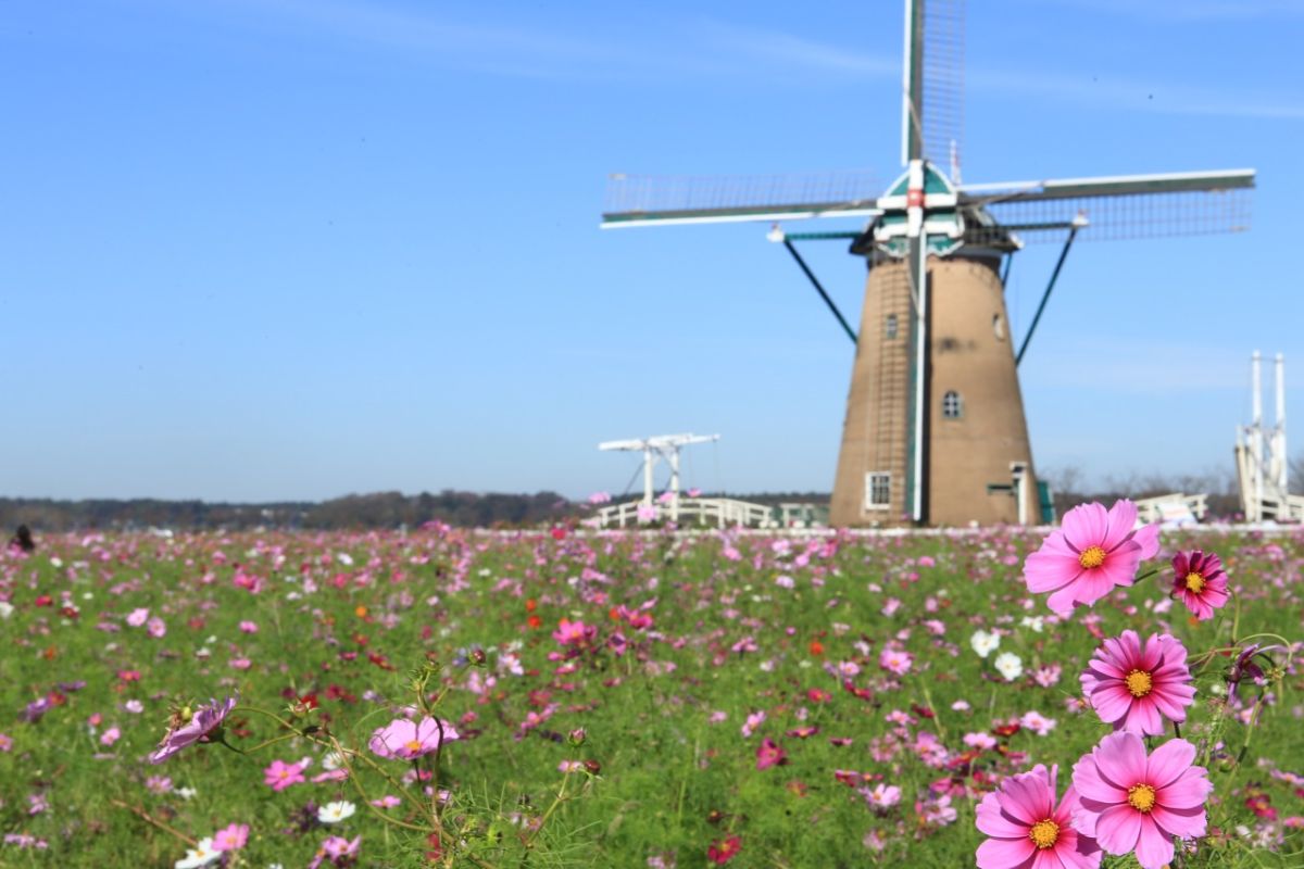 佐倉ふるさと広場