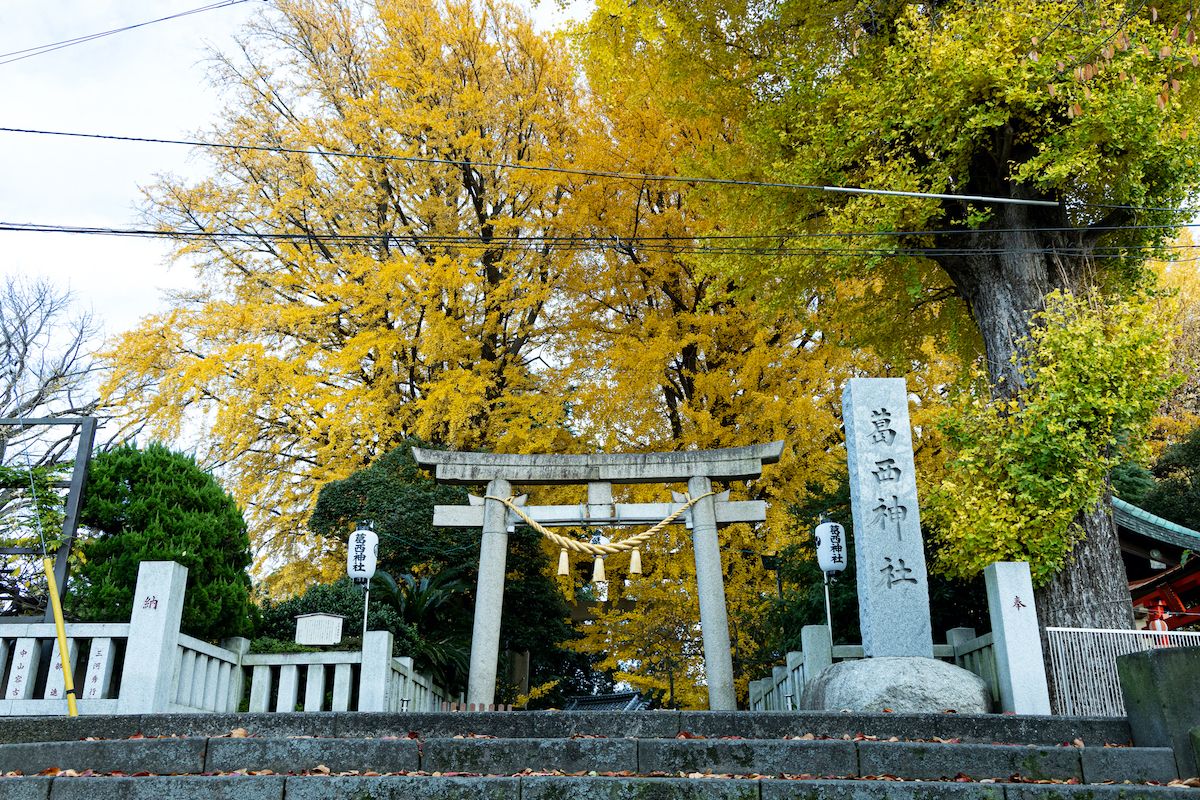 嘉永7年(1854)に建てられた石造りの正面鳥居。境内には葛飾区の天然記念物に指定されているイチョウが3株ある