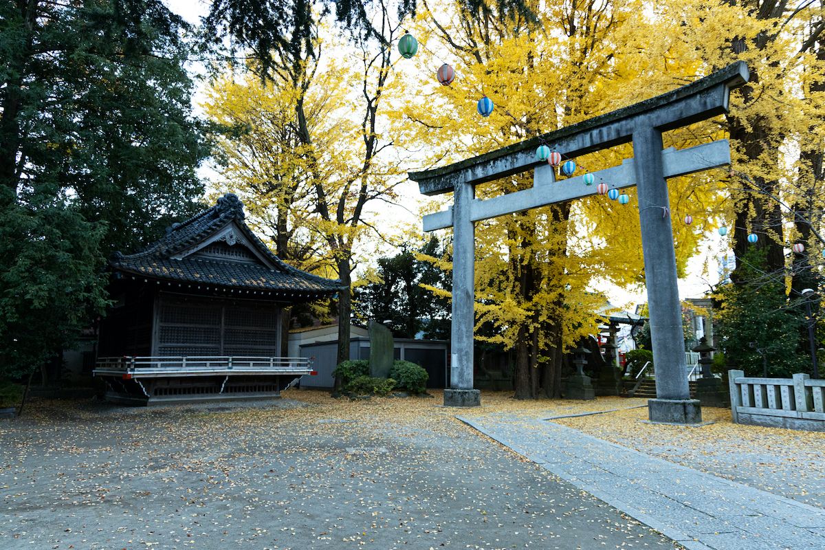 高さ約9メートルmの大鳥居と、写真左は神楽殿