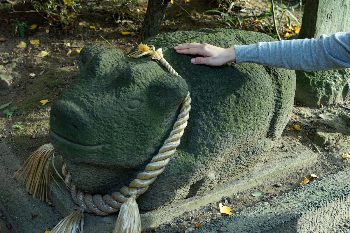 学問の神・菅原道真公のお使いである「撫で牛」