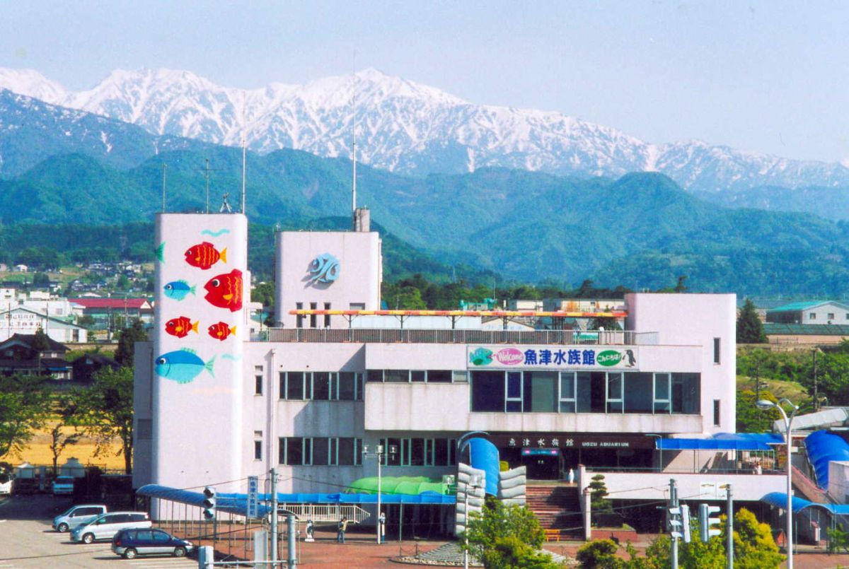 提供：魚津水族館