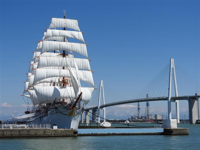 総帆展帆と新湊大橋