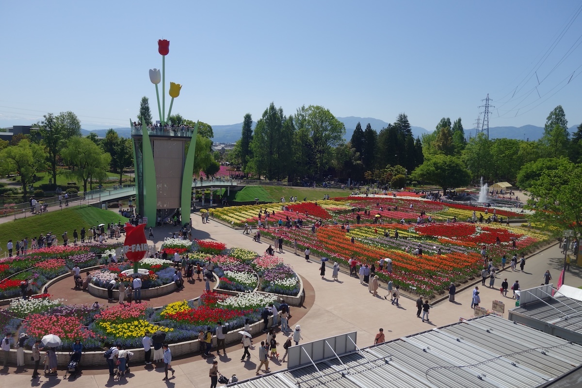 大花壇地上絵2024年