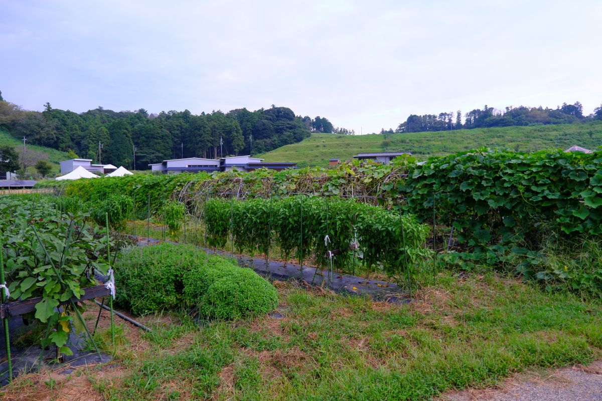 オーガニックファーム