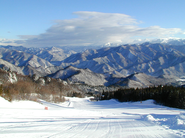 Dコースの上からは群馬の山々が見渡せる
