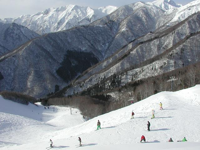 適度な斜度が続き、親子で安心して滑ることができるゲレンデ