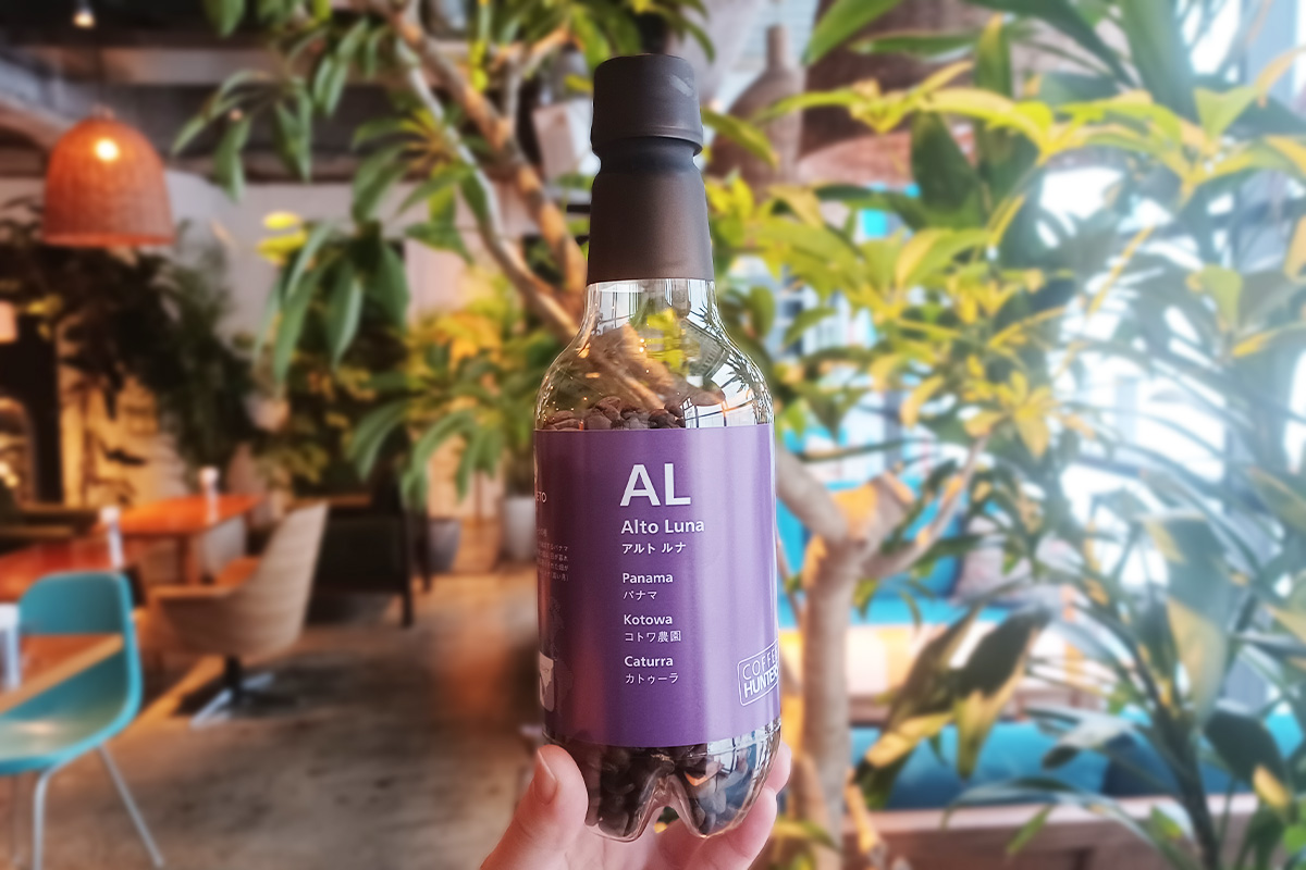 特別にコーヒー豆を見せてもらいました