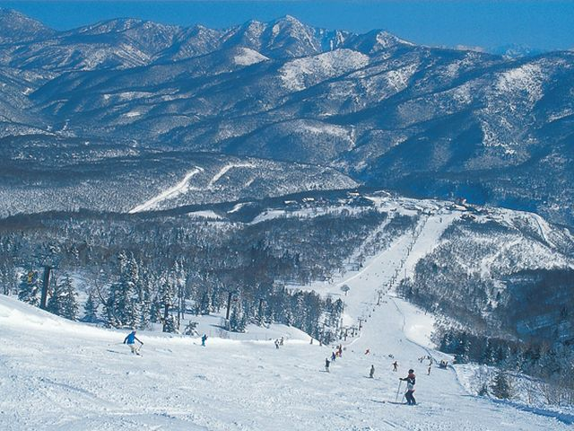 第2エキスパートコース