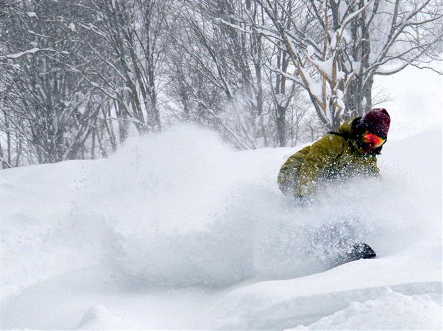 最高のパウダーランを存分に楽しめる