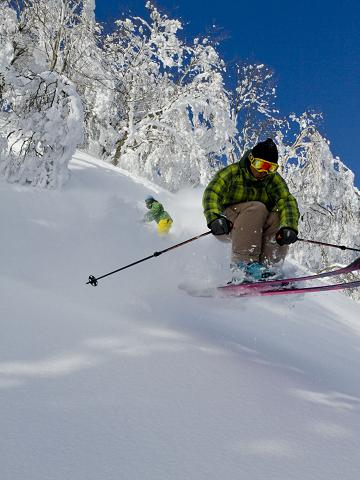 新感覚のツリーランコース。ふかふかの雪の中を滑ることができる