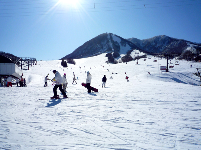 広々とした緩斜面からハードな急斜面まで様々なタイプのゲレンデがある