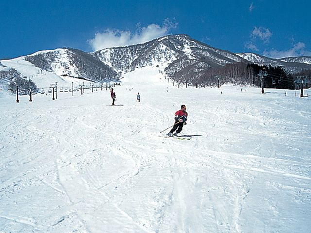 広々とした斜面でゆったり滑れる