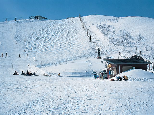 正面に見えるコブ斜面が八方尾根名物の黒菱ゲレンデ