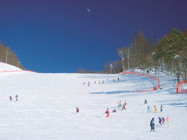 センターゲレンデは幅が広く初級者にも最適