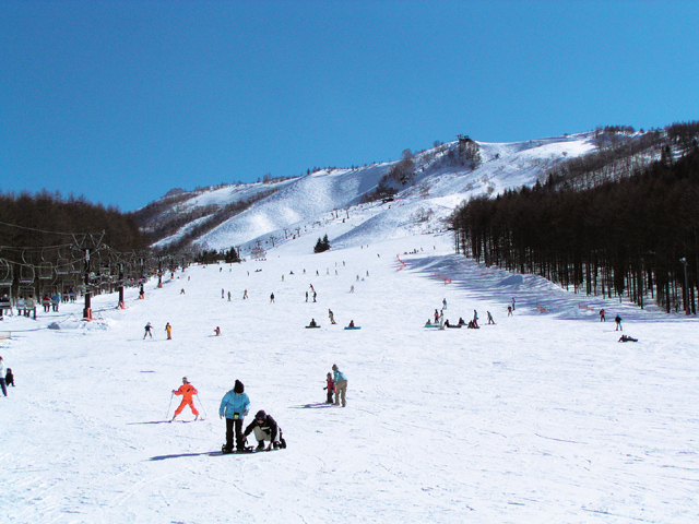 ベース前に広がっているプレジャーゲレンデ