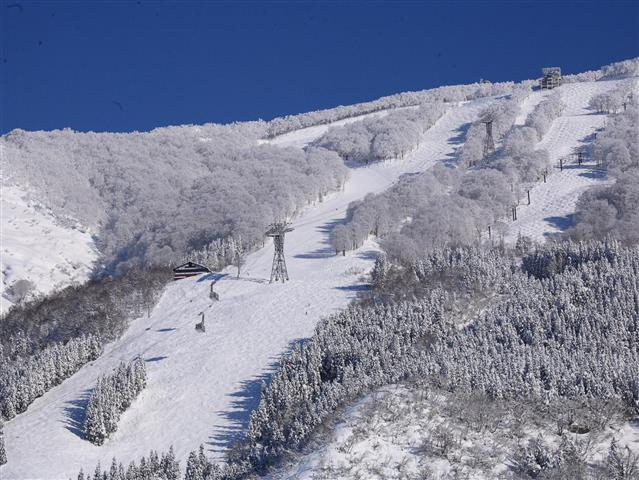 輸送力抜群のロープウェイで一気に山頂まで行ける