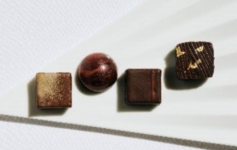 ショコラトリー&バー ロンポワン by ヒロフミ タナカマル「火の国(4個入り)」2268 円 ※松屋銀座限定