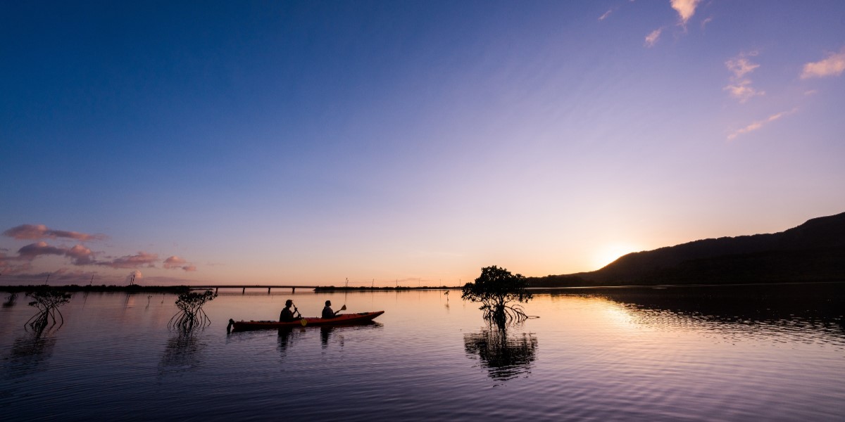 「星野リゾート　西表島ホテル」で体験！ 早朝の静寂な空間を堪能する「朝凪マングローブカヤック」