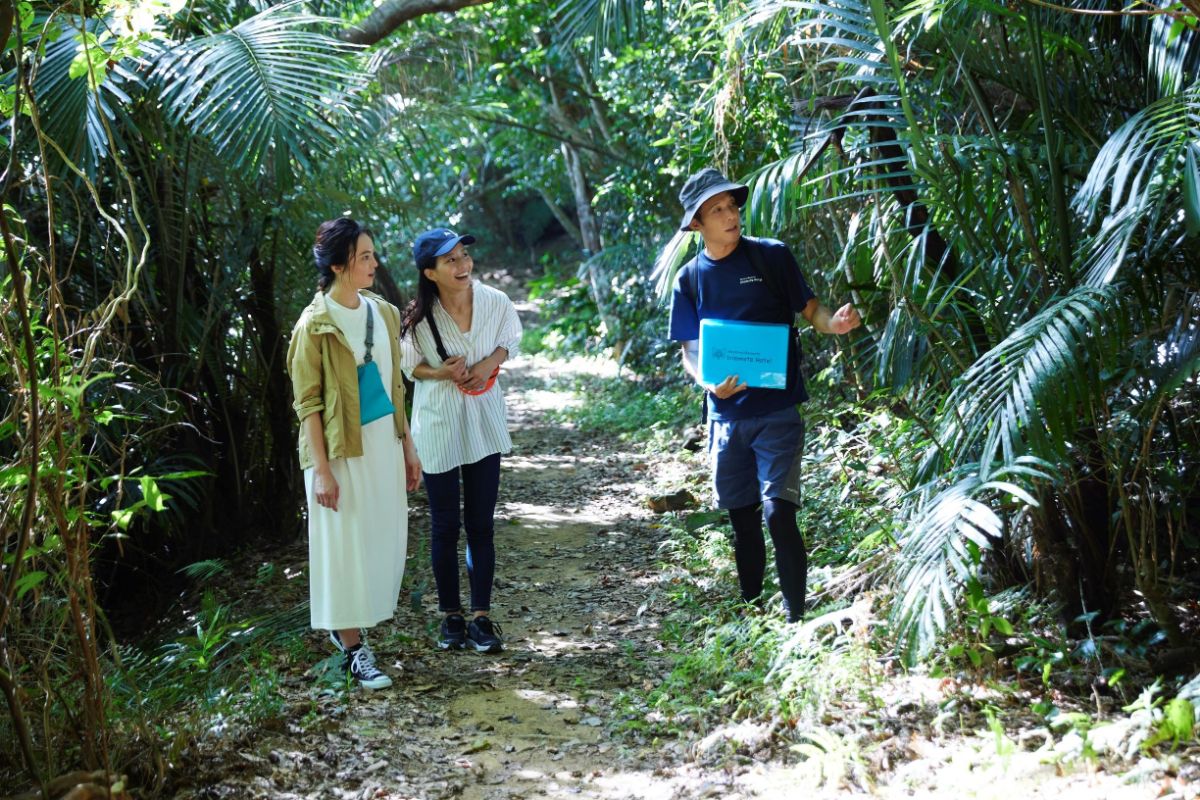 イリオモテガイドウォーク　ジャングルコース