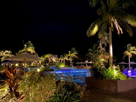 フサキのナイトプール