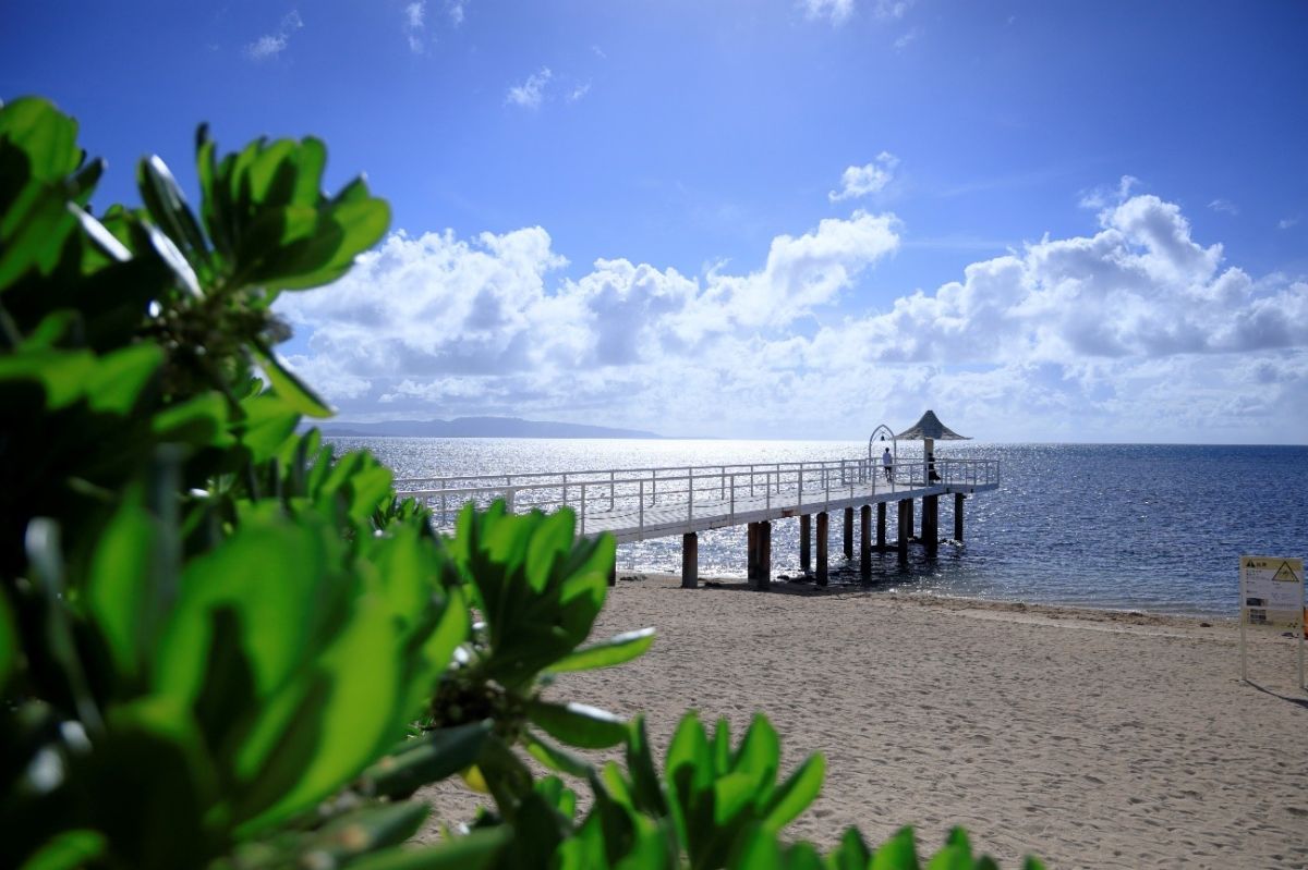 フサキビーチのエンジェルピア