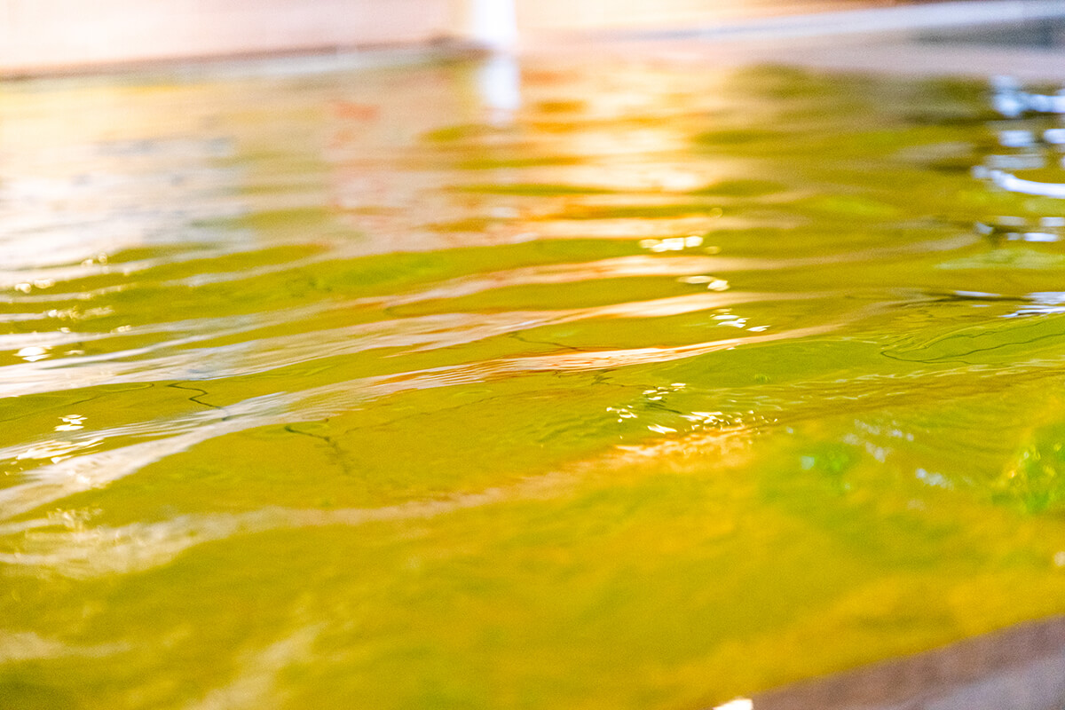 この日のお風呂は「生姜」