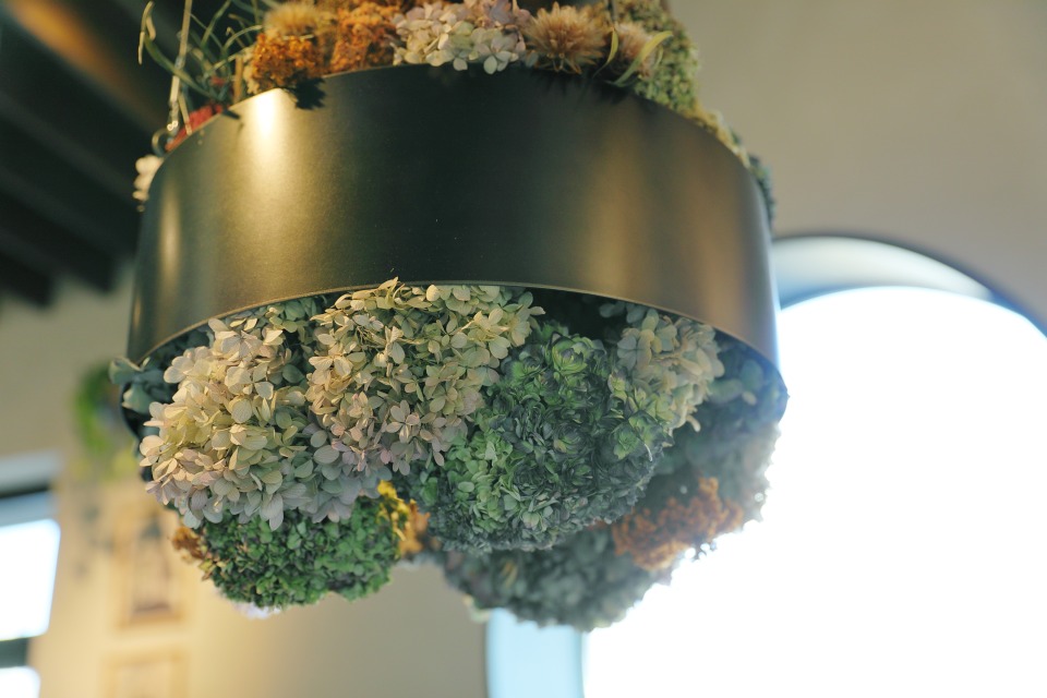 Botanico扇町公園