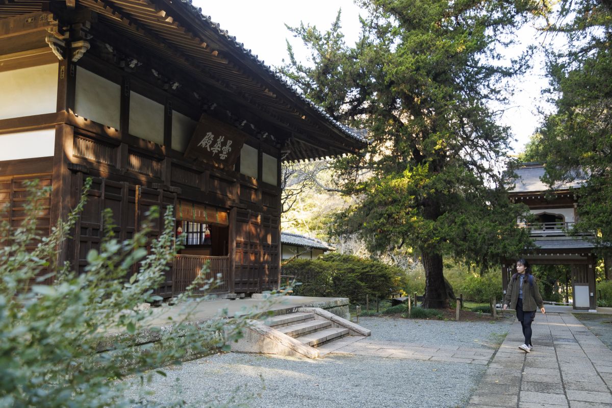 朝は比較的訪問客が少なく、境内の厳かな雰囲気を堪能することができました♪