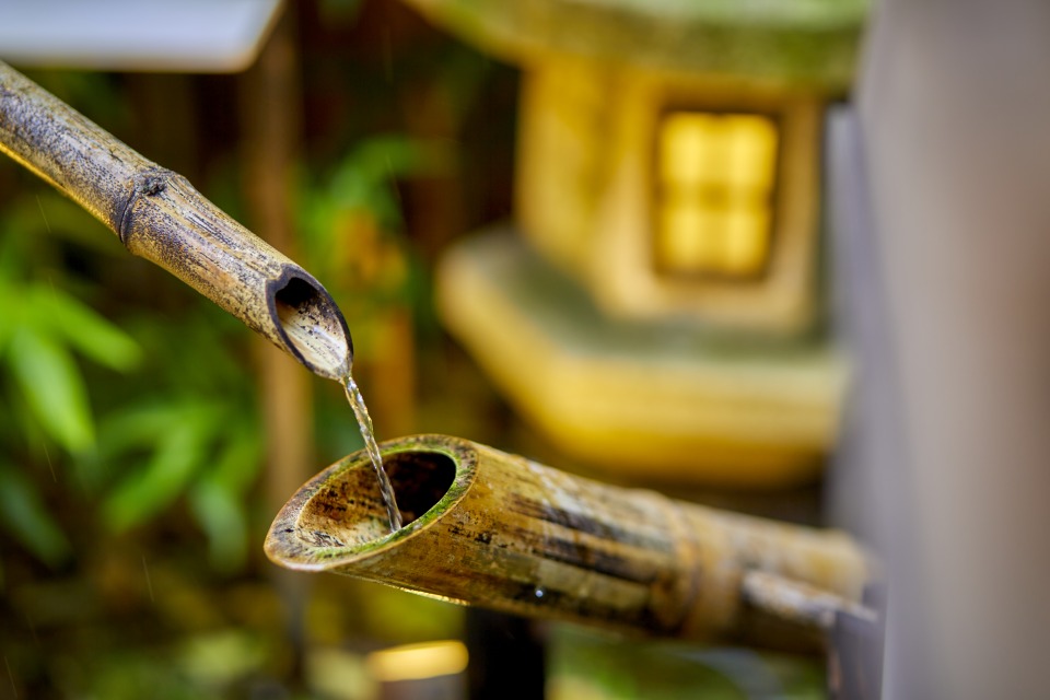 茶寧庭